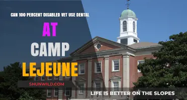 Can Disabled Vets Access Camp Lejeune Dental Services? Find Out