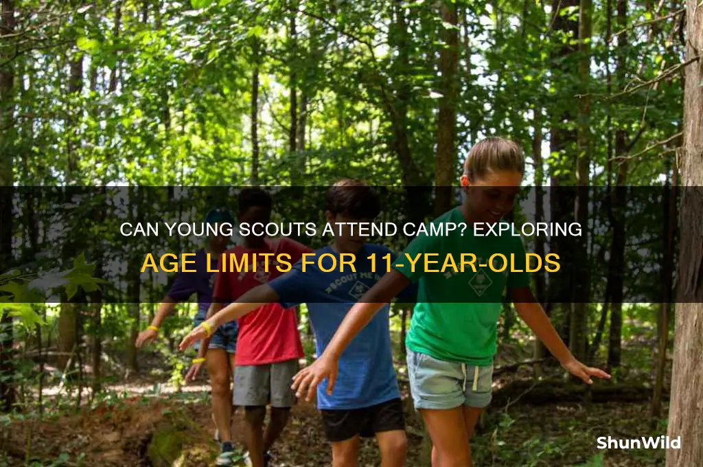 can 11 year old scouts go to scout camp