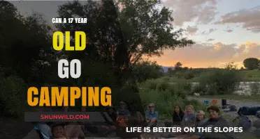 Can Minors Camp Alone? Exploring 17-Year-Olds' Outdoor Adventures