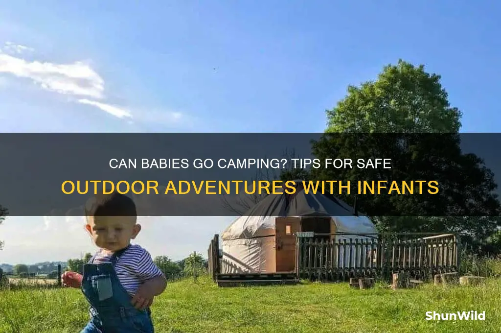 can a baby go camping