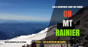 Can Backpackers Camp Anywhere on Mt. Rainier? Rules and Tips