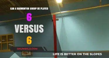 Doubling the Fun: Badminton with Sixes