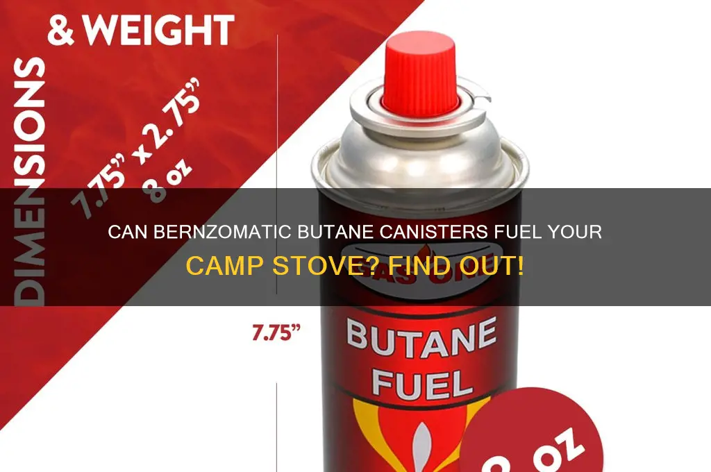 can a bernzomatic butane canister fit for camp stove