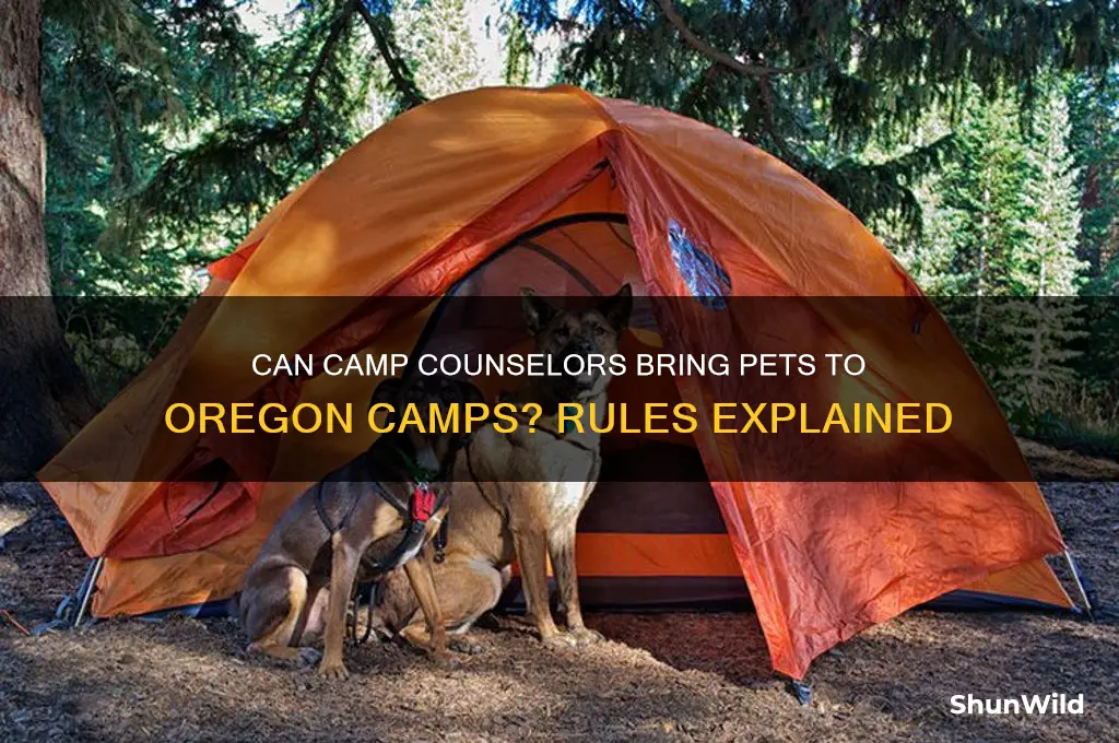 can a camp counselor bring a pet oregon