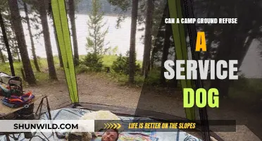 Service Dogs at Campgrounds: Understanding Access Rights and Refusal Policies