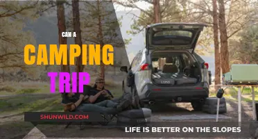 Can a Camping Trip Transform Your Life? Discover the Power of Nature