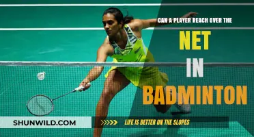 Net Reach in Badminton: Legal or Foul?