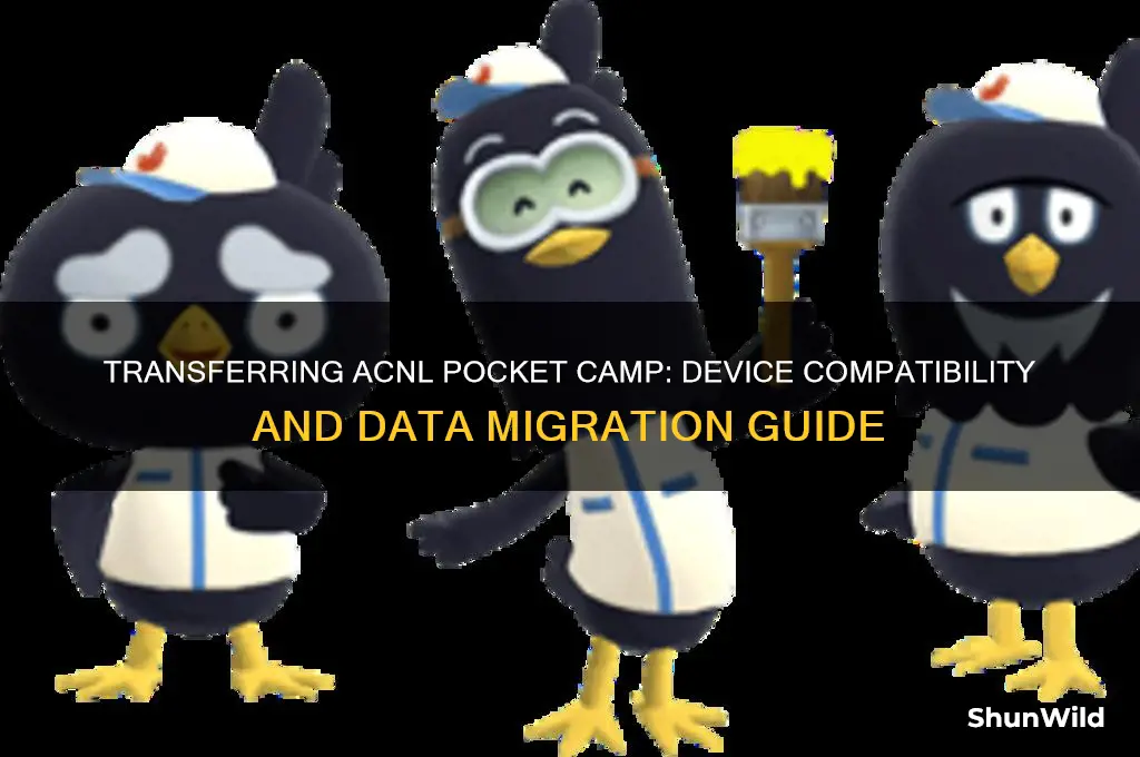 can acnl pocket camp be transfered from devices