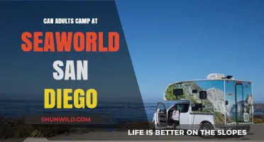 Can Adults Camp at SeaWorld San Diego? Exploring Overnight Options
