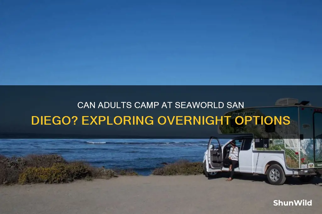 can adults camp at seaworld san diego