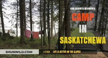 Alberta Residents Camping in Saskatchewan: Rules, Tips, and Best Spots