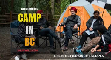 Can Albertans Camp in BC? Cross-Border Camping Guide