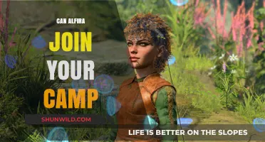 Can Alfira Join Your Camp? Exploring Benefits, Challenges, and Possibilities