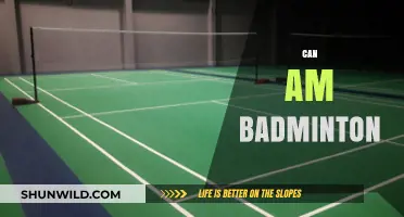 Badminton's Best: CanAm's Top Players and Their Secrets