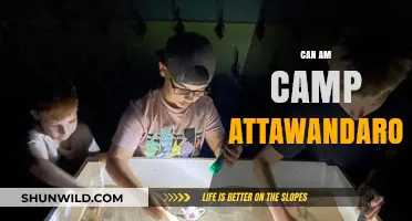 Exploring Can-Am Camp Attawandaron: History, Activities, and Adventure Await