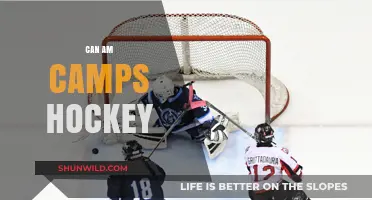 Can-Am Camps Hockey: Elevate Your Game with Elite Training & Fun