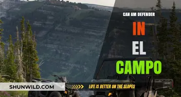 Can-Am Defender: Dominating El Campo with Power and Versatility