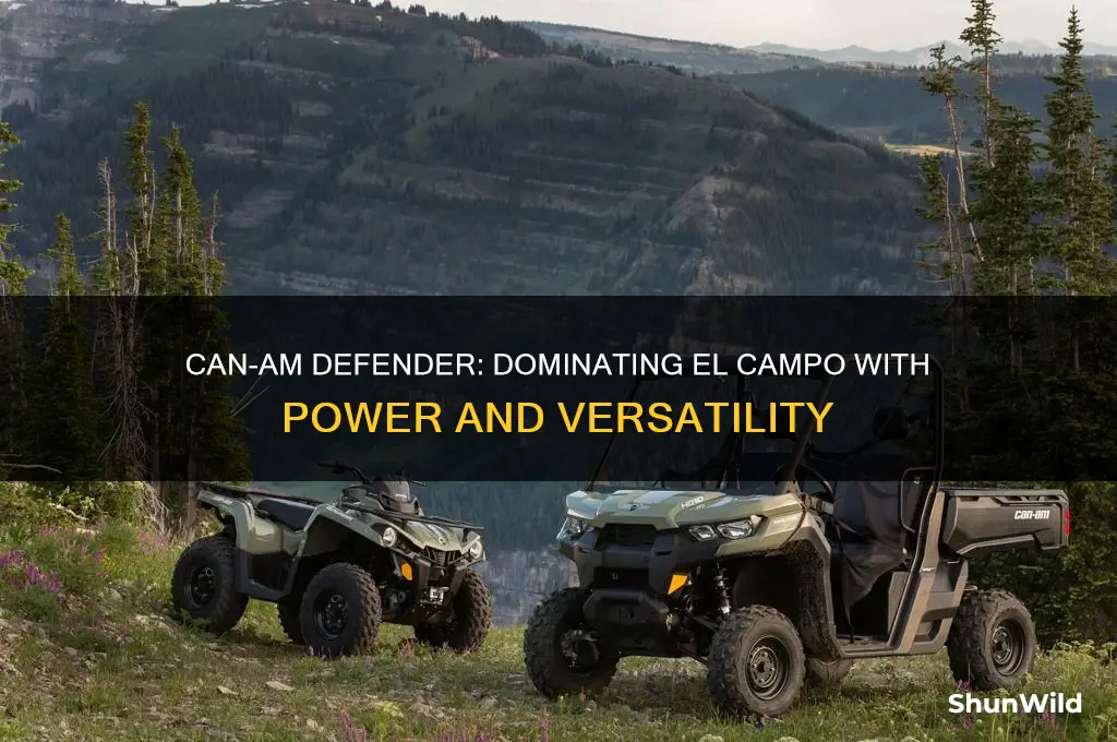 can am defender in el campo
