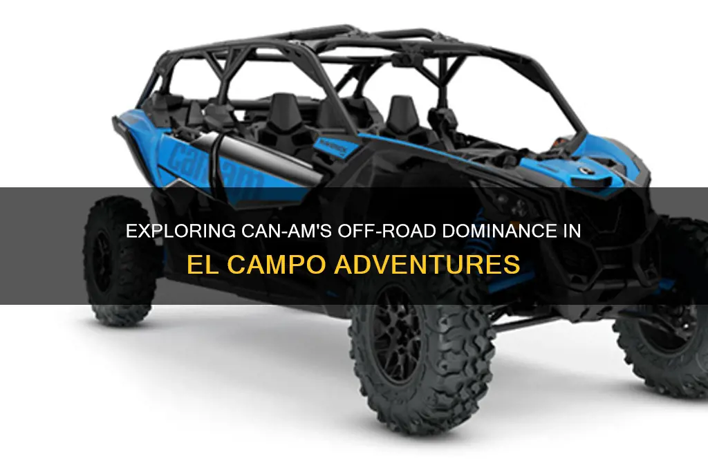 can am el campo