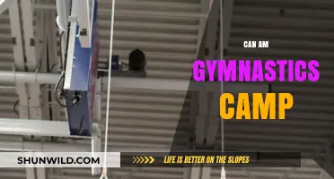 Master Gymnastics Skills at the Can Am Gymnastics Camp