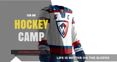 Master Your Skills: Can Am Hockey Camp Training Secrets Revealed