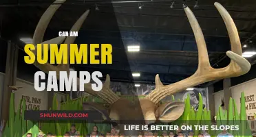 Exciting Can-Am Summer Camps for Adventure and Learning Experiences