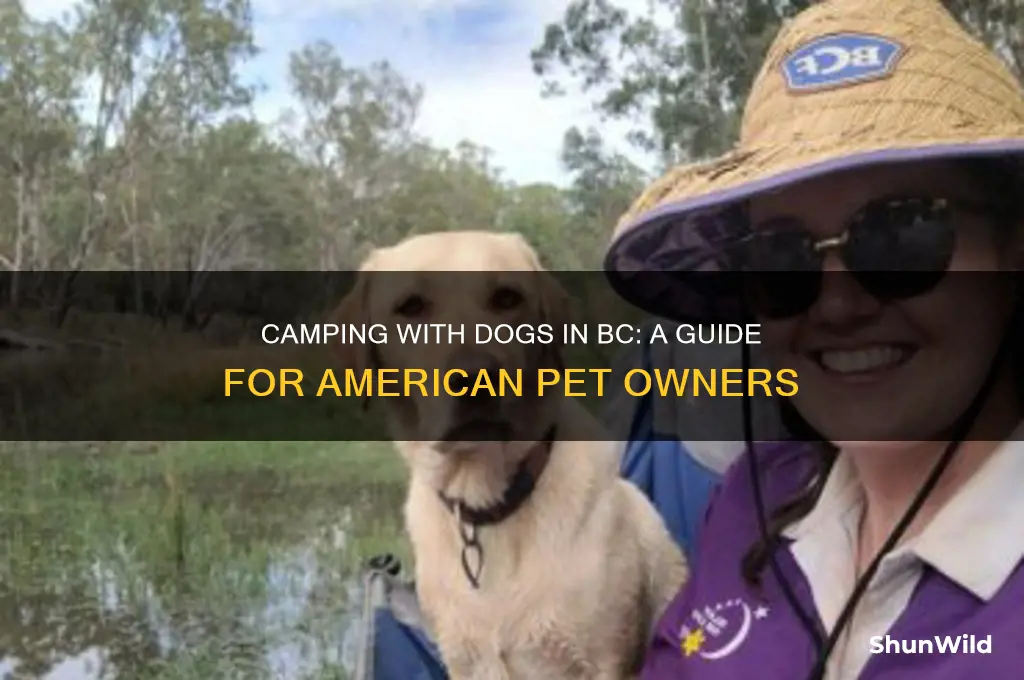 can americans take dogs camping in british columbia