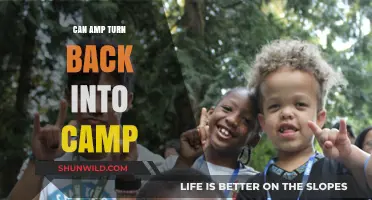 Can AMP Revert to CAMP? Exploring the Molecular Transformation Process