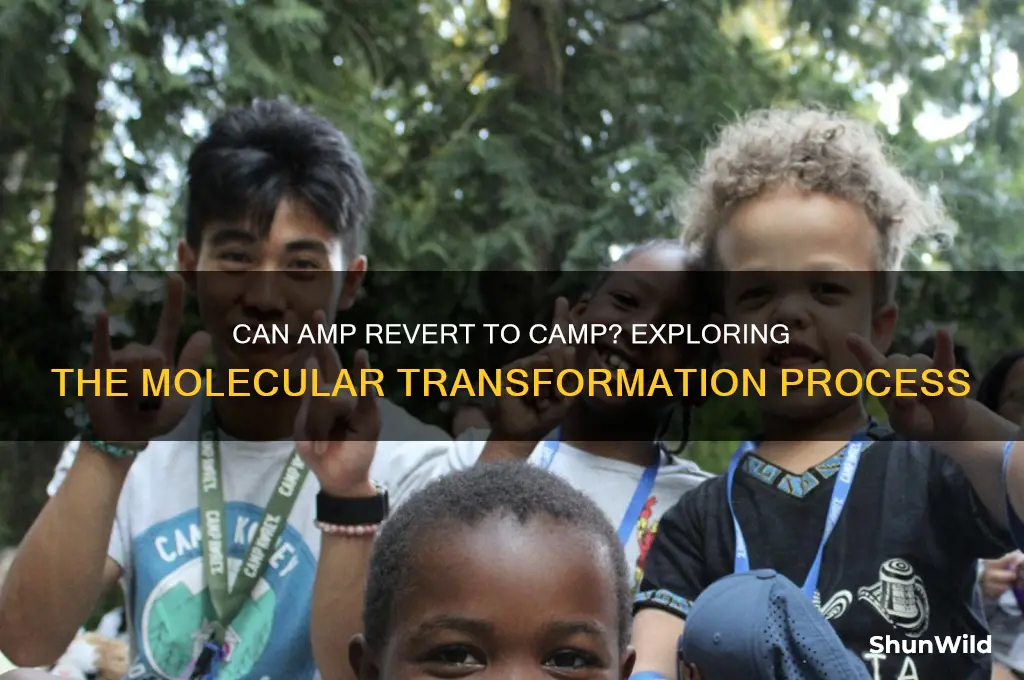 can amp turn back into camp