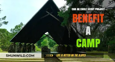 Eagle Scout Projects: Enhancing Camp Experiences and Community Impact