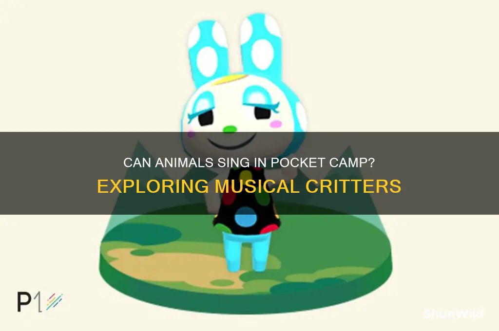 can animals sing in pocket camp
