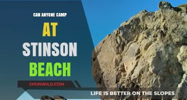 Can Anyone Camp at Stinson Beach? Rules and Tips Revealed