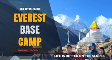 Can Anyone Conquer Everest Base Camp? A Beginner's Guide