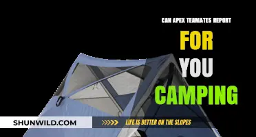 Can Apex Teammates Report You for Camping? The Truth Revealed