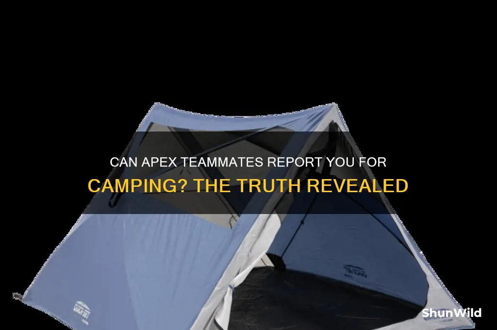 can apex teamates report for you camping