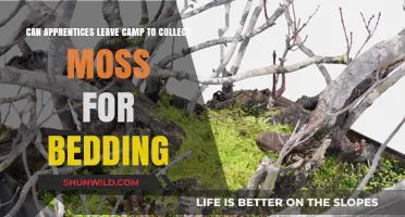 Apprentices' Moss Collection: Can They Leave Camp for Bedding Materials?