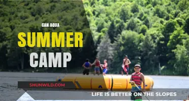 Can Aqua Summer Camp: Dive into Fun, Learning, and Adventure!