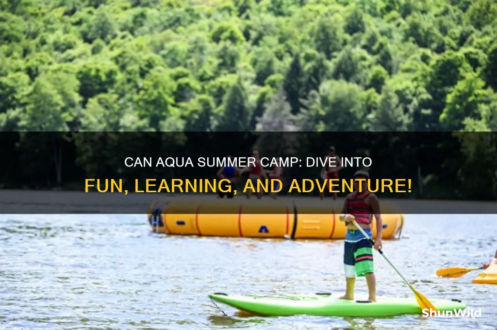 can aqua summer camp