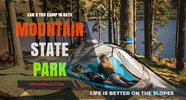 Camping at Bays Mountain State Park: What You Need to Know