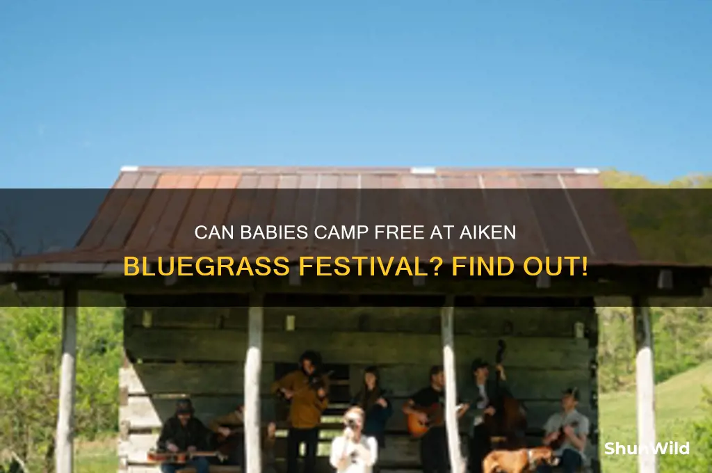 can babies camp for free at aiken bluegrass festival