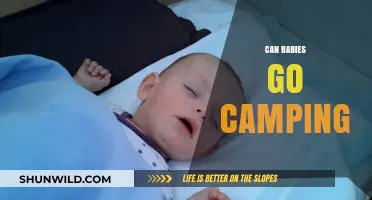 Can Babies Go Camping? Tips for Safe Outdoor Adventures with Infants