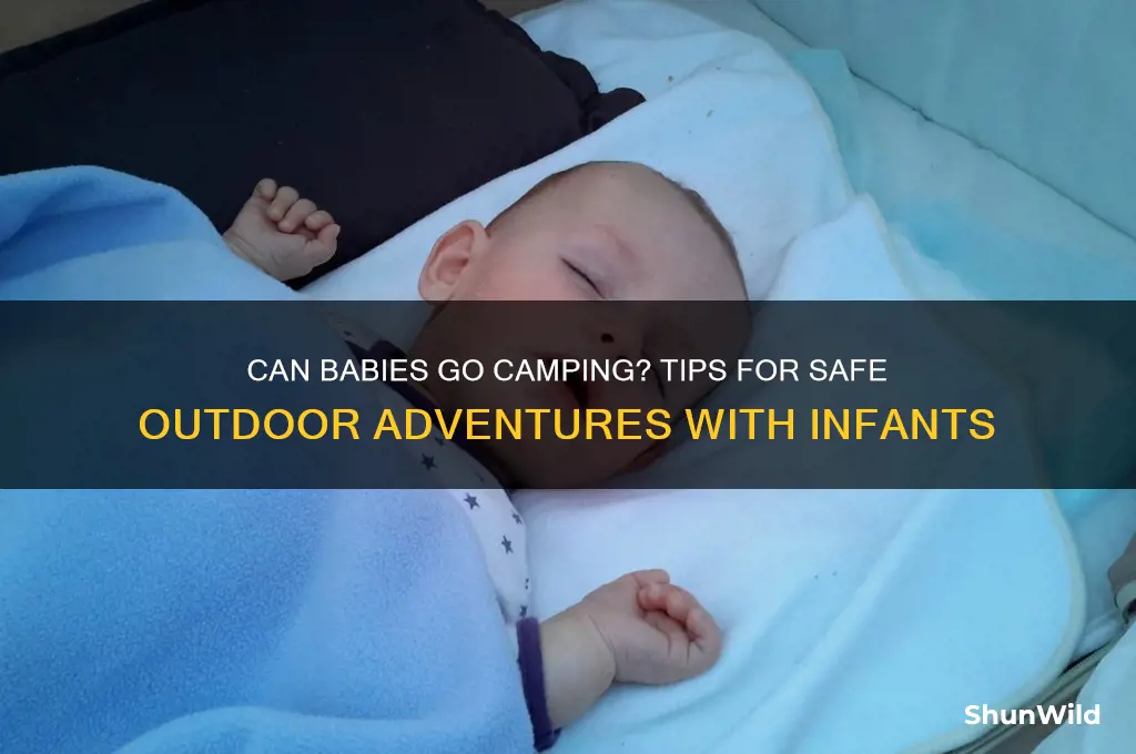 can babies go camping
