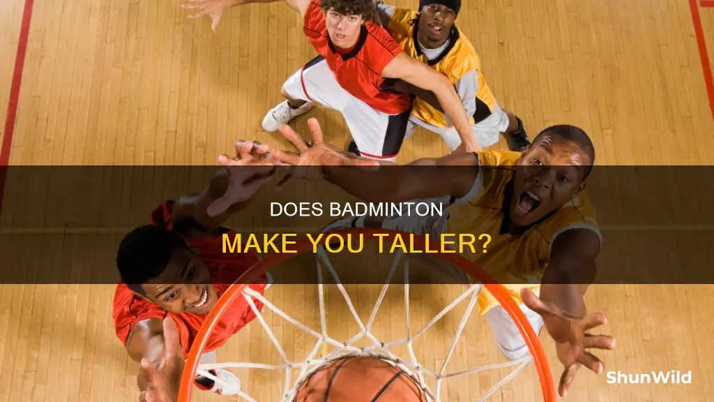 can badminton increase height