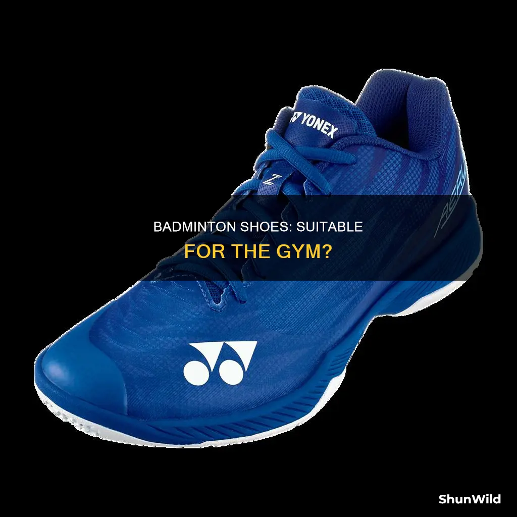 can badminton shoes be used for gym