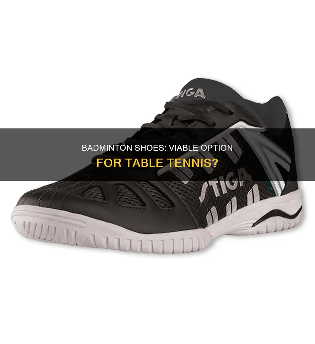 can badminton shoes be used for table tennis