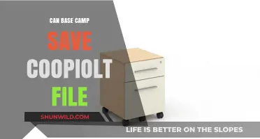 Can Base Camp Safely Store and Retrieve Coopiolt Files?