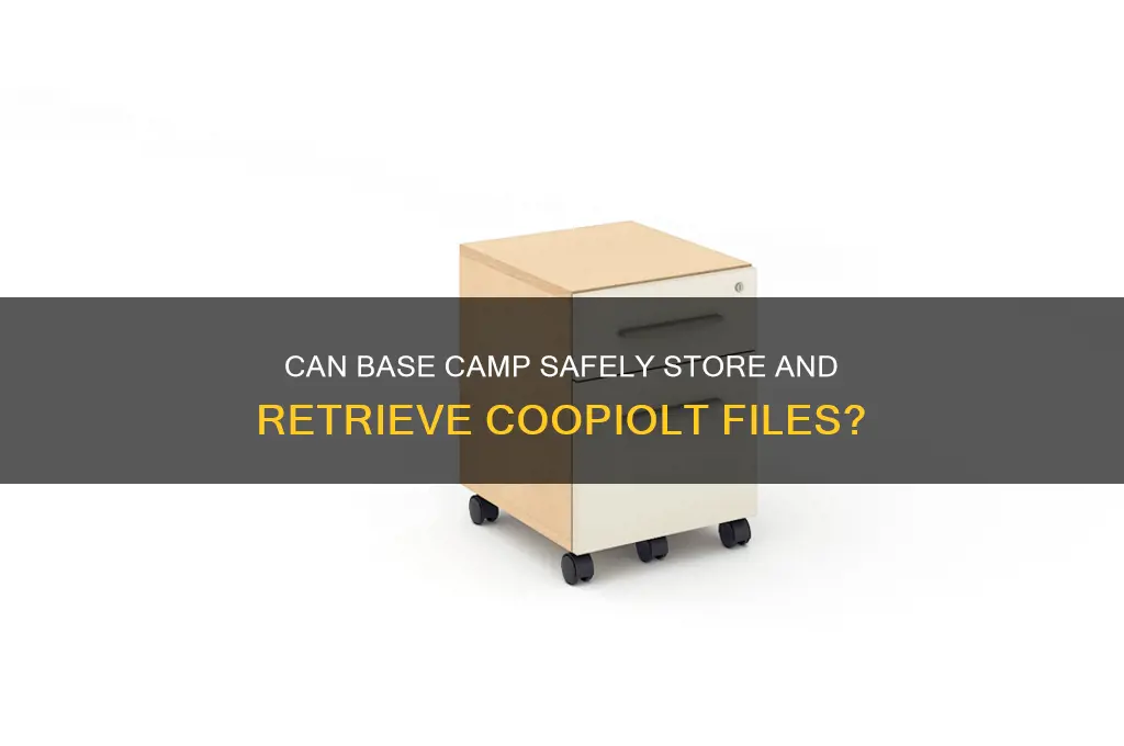 can base camp save coopiolt file
