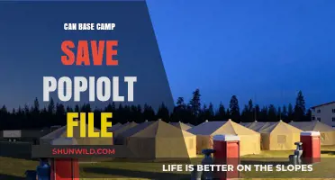 Can Base Camp Efficiently Save Your Popiolt File? A Guide