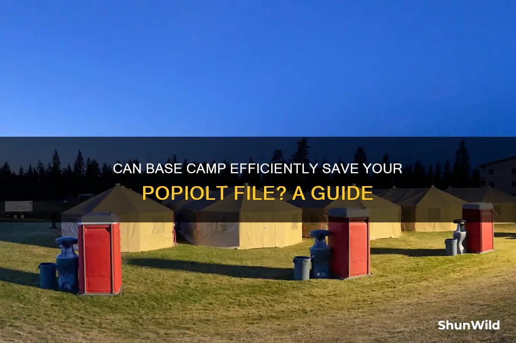 can base camp save popiolt file