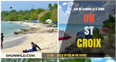 Discover Adventure and Skills at a St. Croix Summer Camp